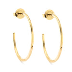 Light Hoops